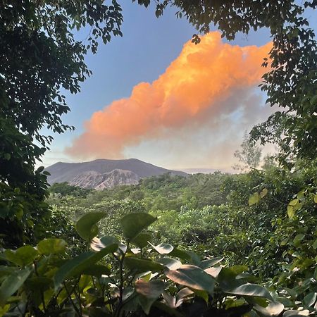 Tanna Eagle Twin Volcano View Tree House Bed & Breakfast White Sands Room photo