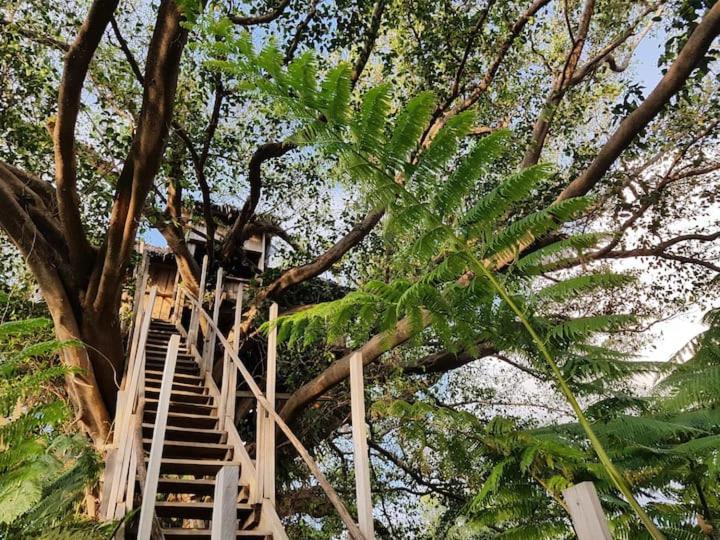 Tanna Eagle Twin Volcano View Tree House Bed & Breakfast White Sands Exterior photo