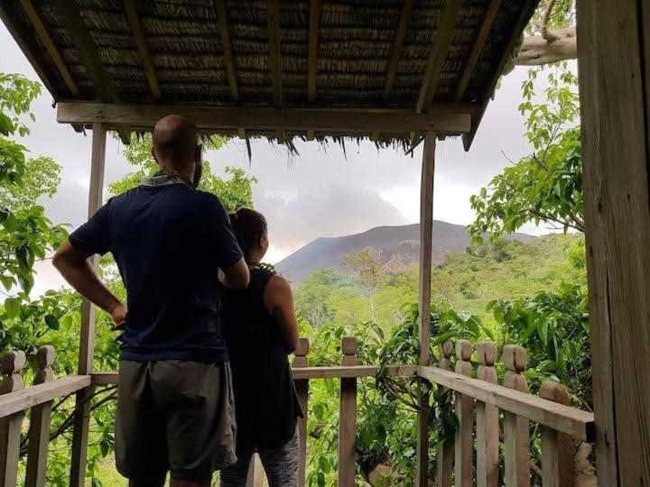 Tanna Eagle Twin Volcano View Tree House Bed & Breakfast White Sands Room photo