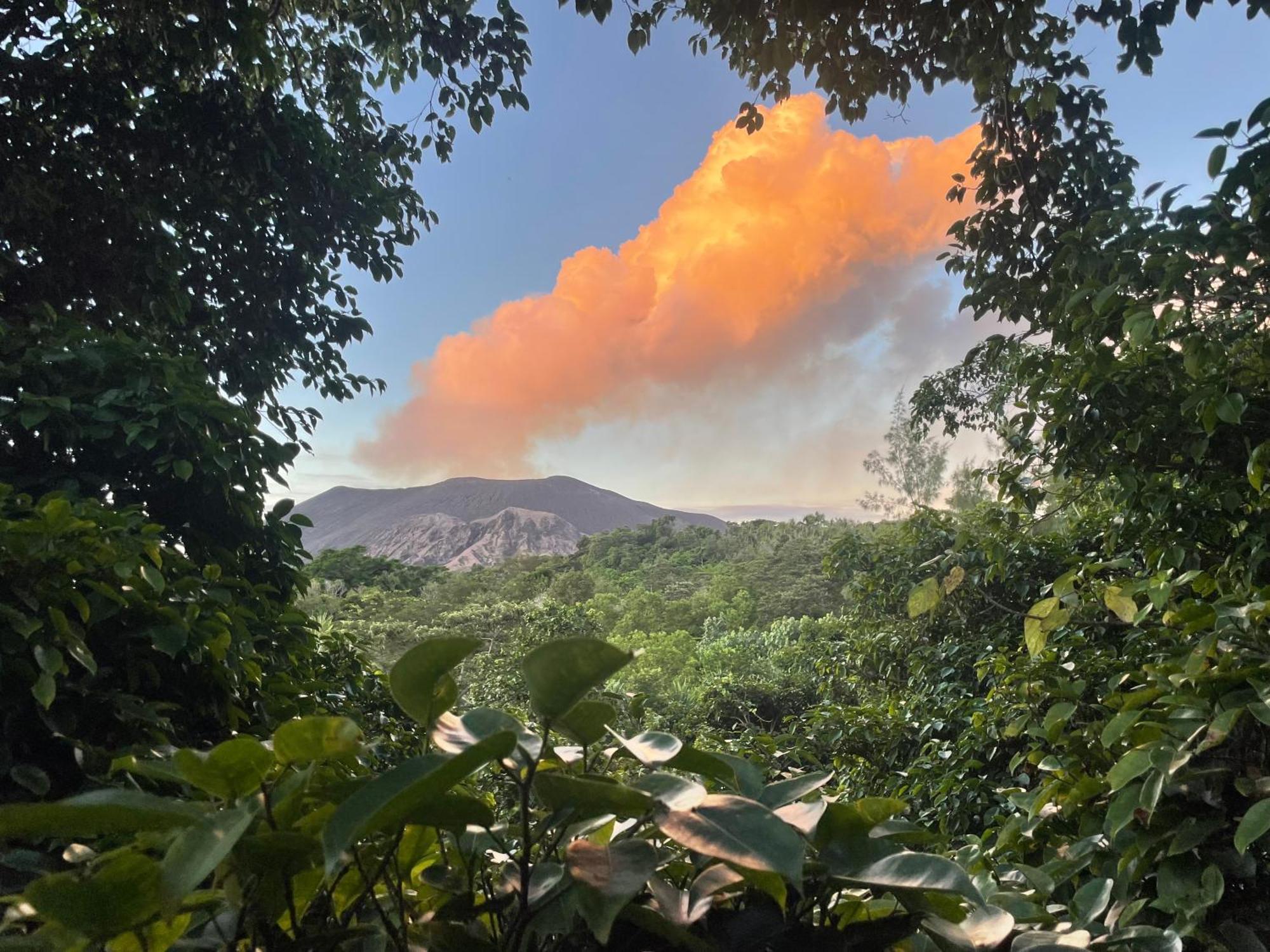 Tanna Eagle Twin Volcano View Tree House Bed & Breakfast White Sands Room photo